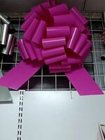 PC872001--20寸油漆亮面玫紅色大拉花