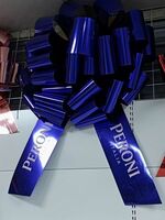 PMP873001--30'' Biggest Car Bows Door Bows